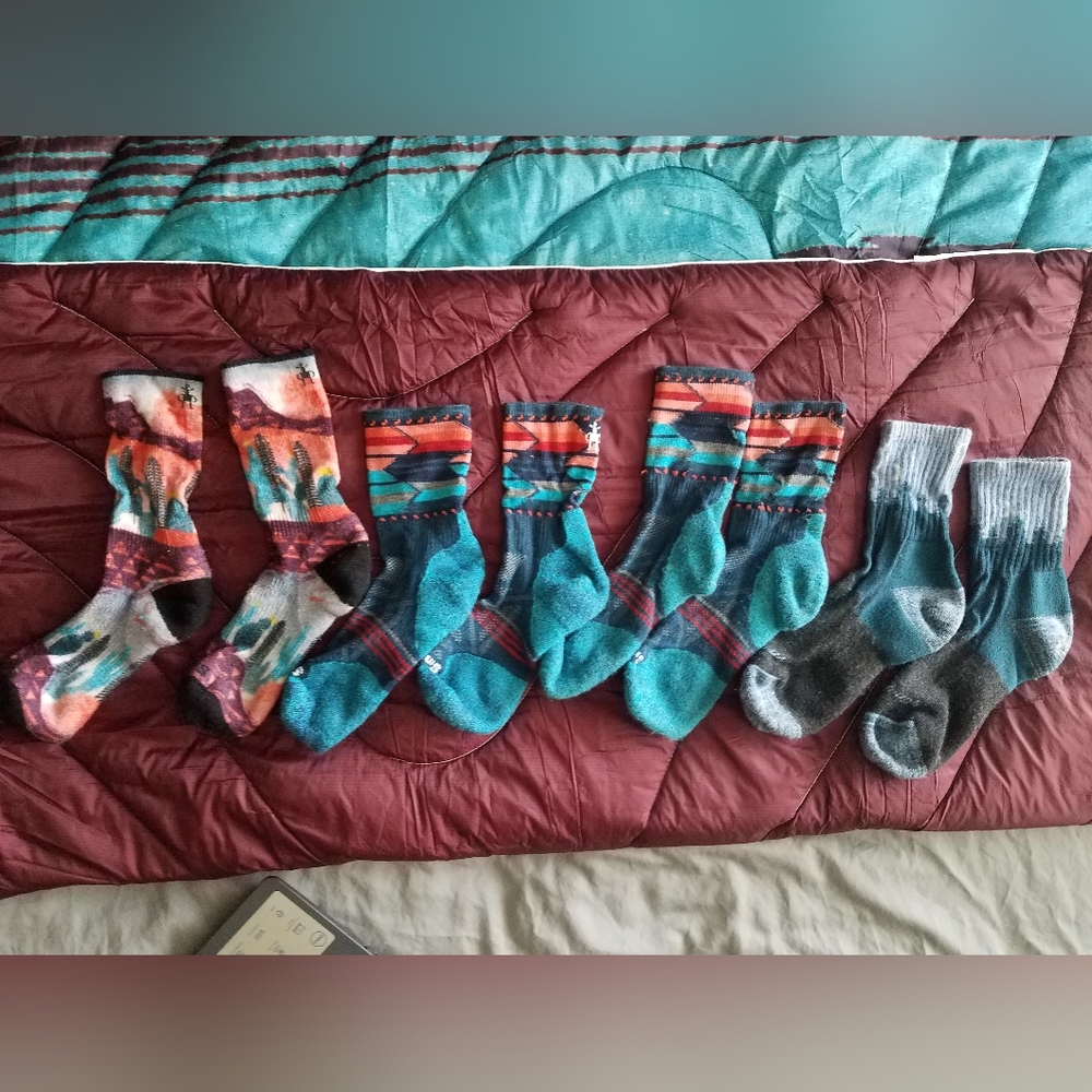 Darn Tough Smartwool Socks Lot of 4